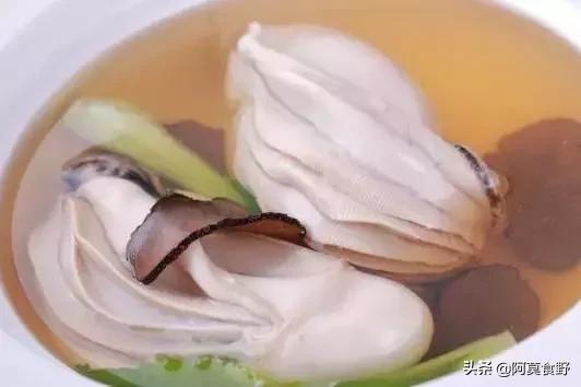 世界上最好吃的四种菌,世界上最好的菌菇