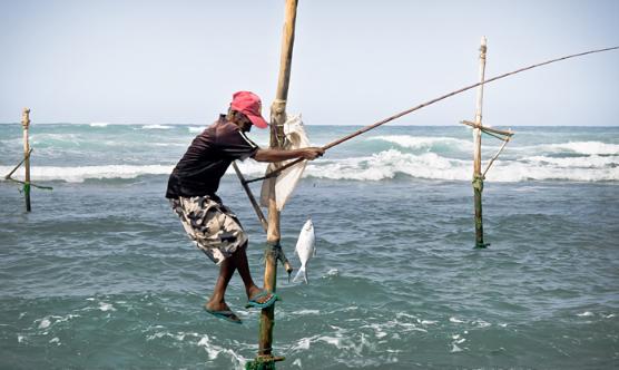 除了雪什么都有的宝石岛，仗义把港口借中国99年，支付宝通用！