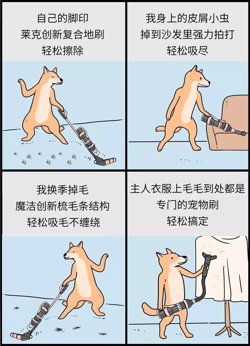 养狗和养猫的区别太真实了,养狗和养猫的五大区别