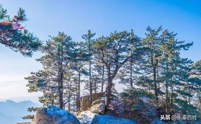 华山景区免费门票预约流程附入口,华山景区门票预约攻略最新