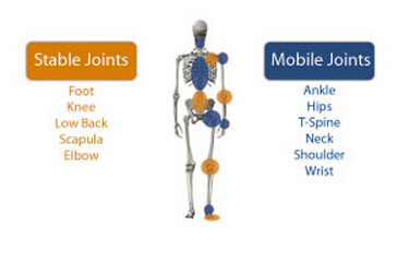 做核心训练腰疼是什么问题,训练核心多久能改善腰疼