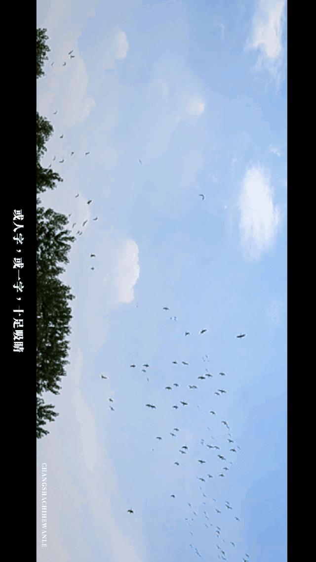 田园低空飞行,田园采摘之旅