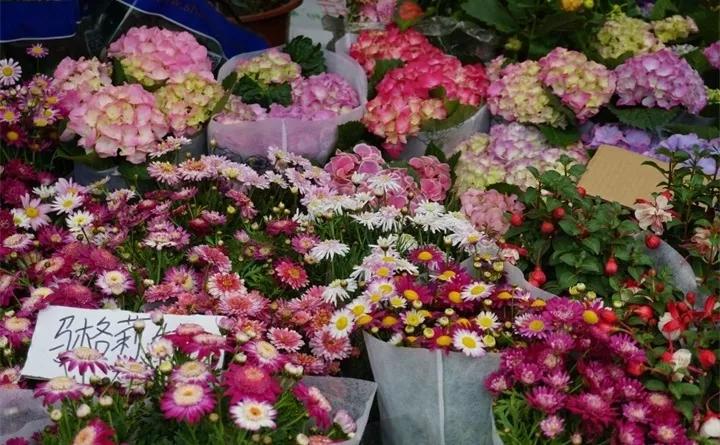 刚到家的花很好没多久就黄叶,买回来的花很快就蔫的原因