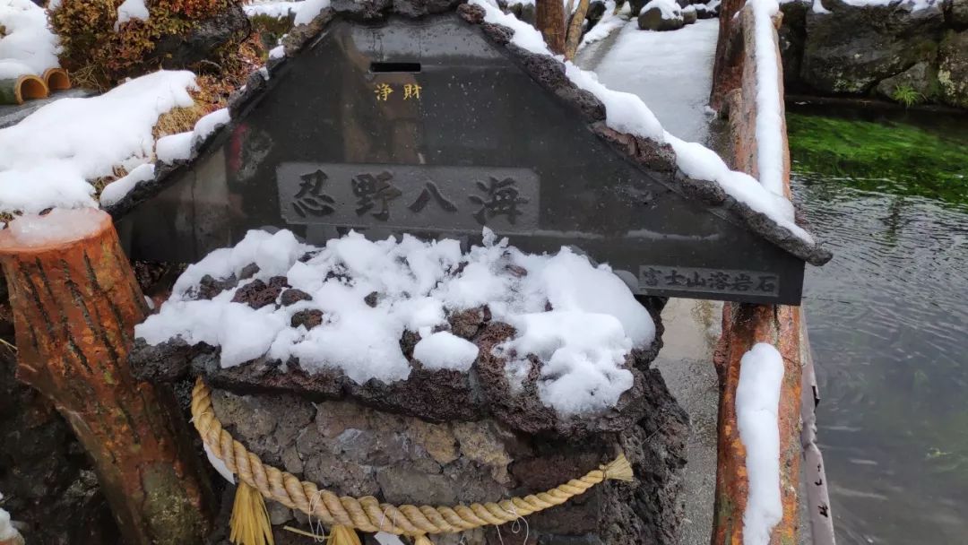 日本本州旅游攻略亲子,日本本州攻略