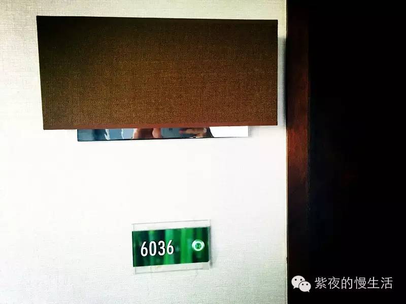 苏州带宠物去的古镇,苏州小众宠物乐园推荐