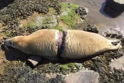 巴厘岛最垃圾的海滩,巴厘岛度假胜地