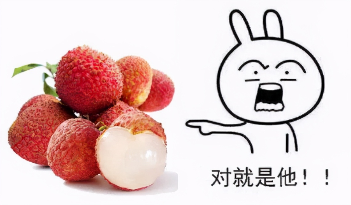 合理饮酒拒绝酒驾,拒绝酒驾的10个方法