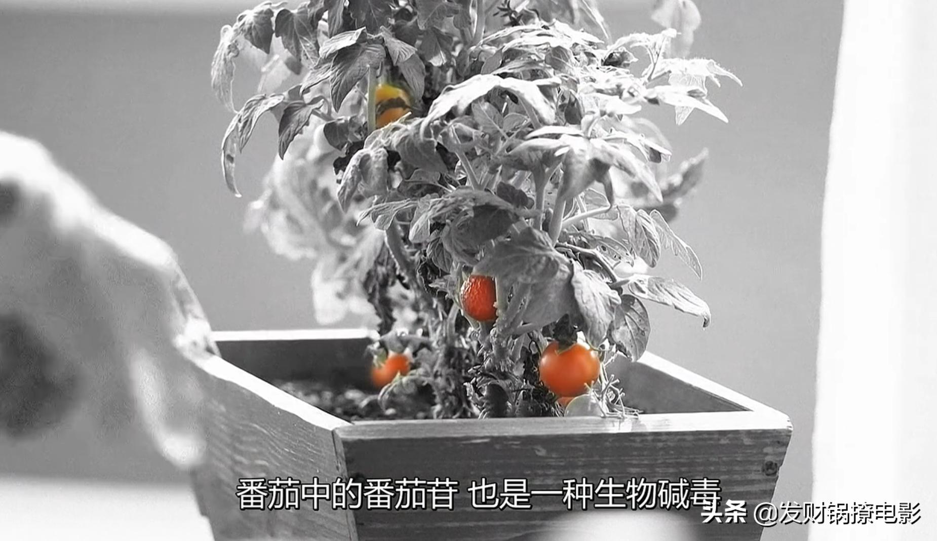 豆瓣9.4，一集一个案件！竟然被这部重口味日剧治愈了？