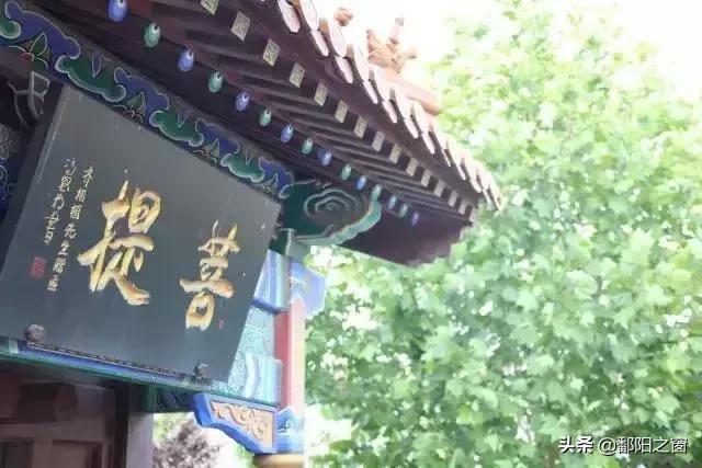 大海温泉,大海温泉度假村