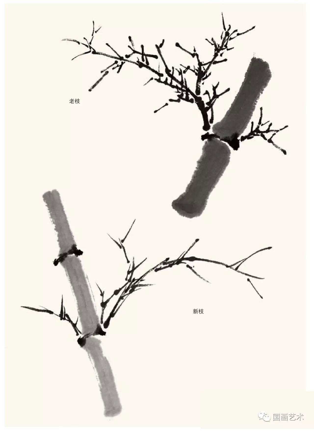 历代画竹名家名单,初学画竹子入门毛笔