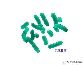 霉菌性阴道炎让女人苦不堪言，做好这3件事，阴道炎再不会找上门