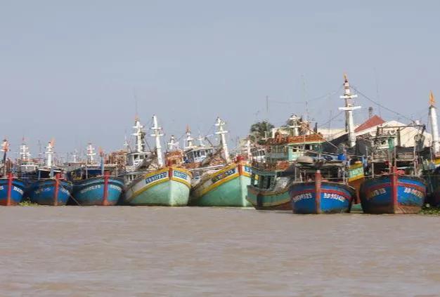 搬起石头砸自己的脚？越南暂停向中国出口大米，自己却损失惨重