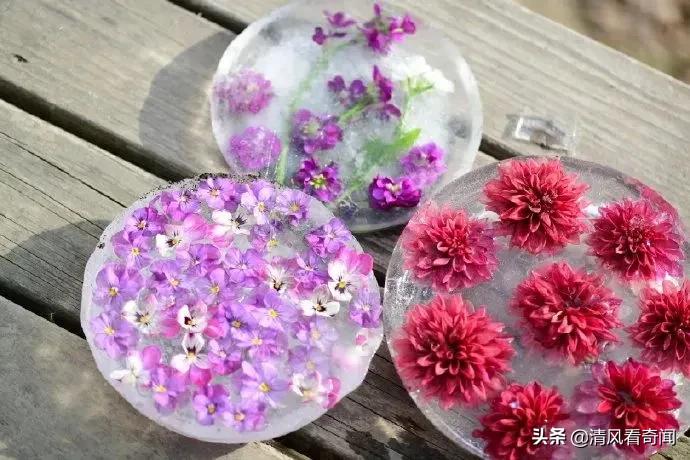 冻冰花美篇,冻冰花的美篇