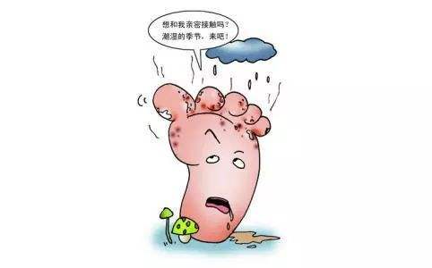 一到夏天脚就痒而且还臭,一到夏天脚就很痒还烂