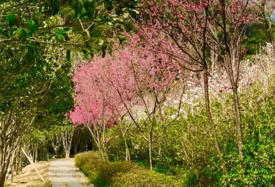 *光春**正好，快来搭乘开往春天的brt~