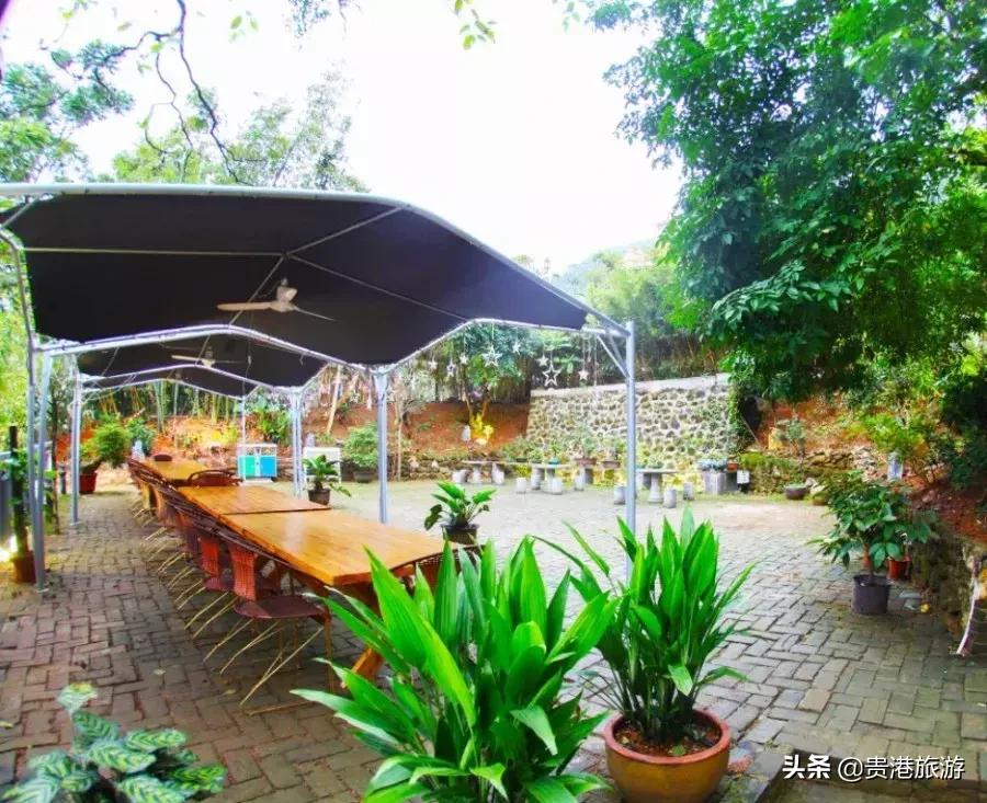 鐜╄浆骞胯タ妗傚钩姘戝,妗傚钩姘戝