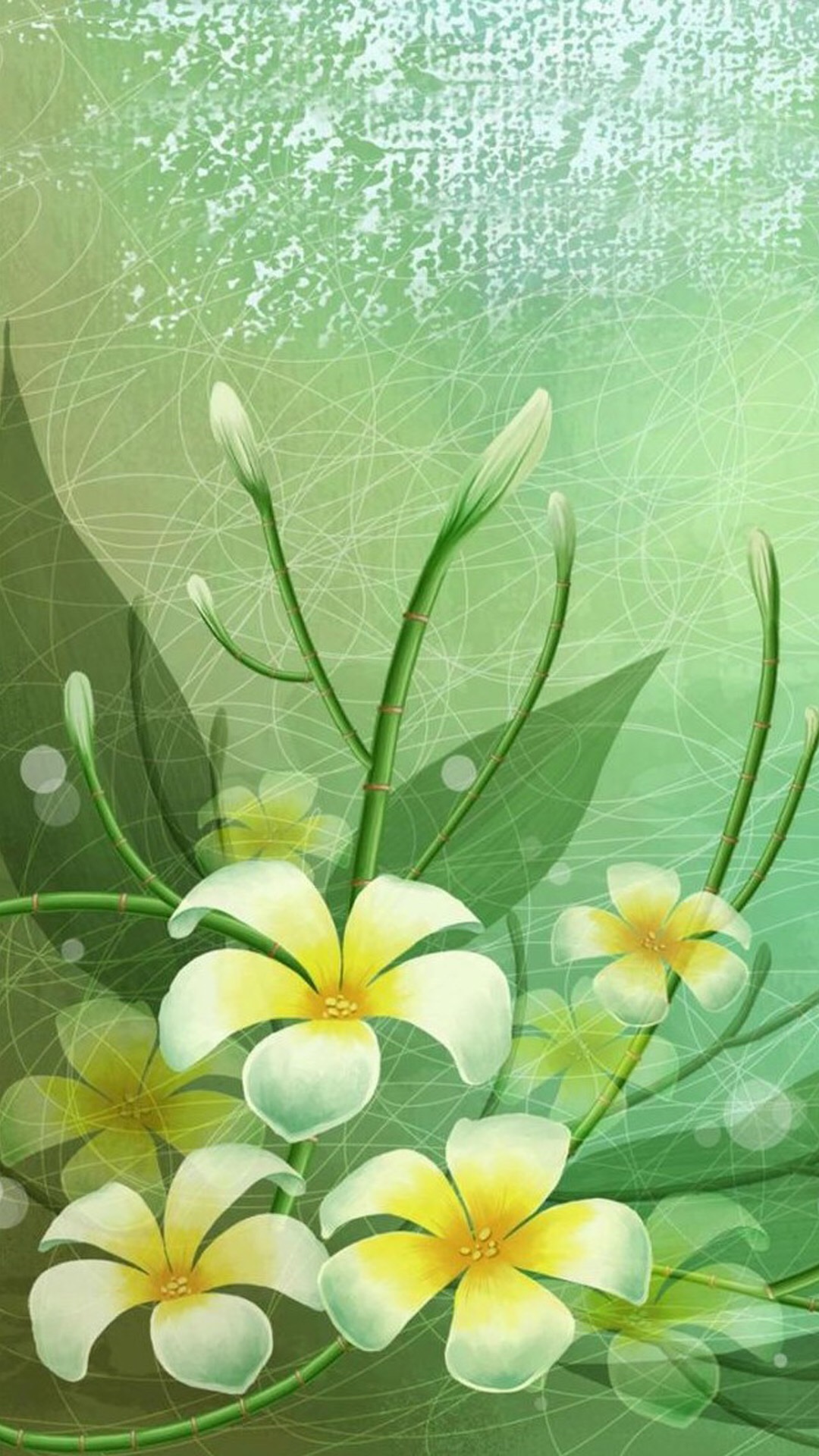 干净绿色系锁屏壁纸聊天背景,最近很火绿色的锁屏壁纸