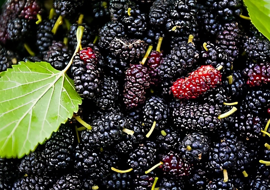 鎶氫粖蹇嗘様,灏忔椂鍊欏悆鐨勯浂椋熺殑鍥炲繂