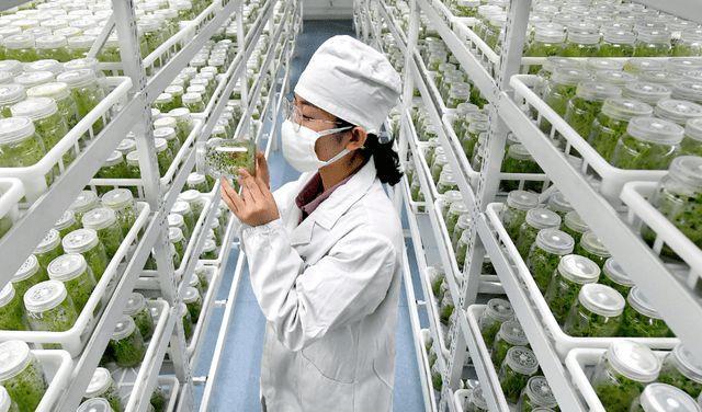 农学专业将来的就业方向,农学类就业很差么