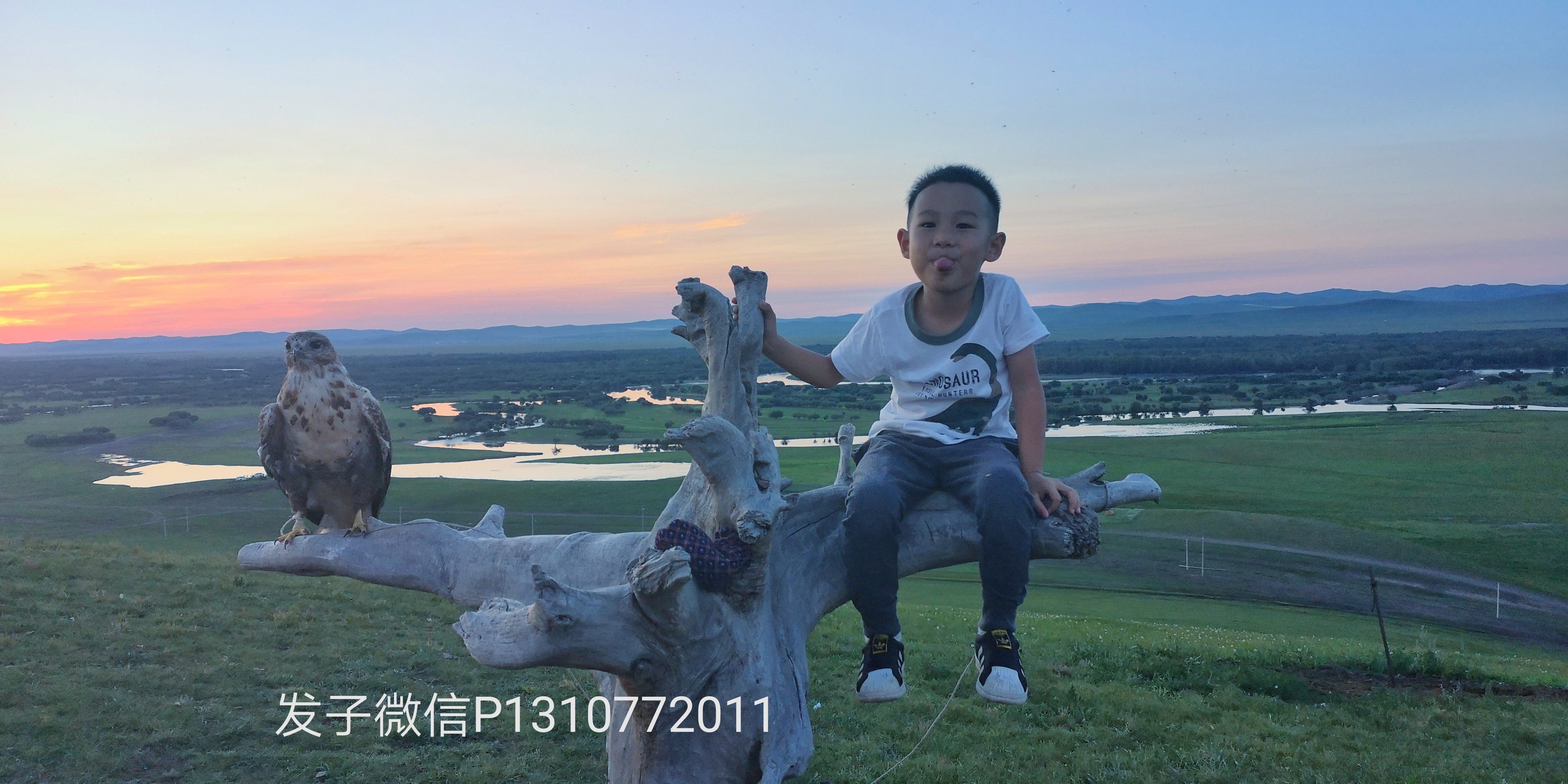 暑期亲子旅游推荐呼伦贝尔大草原,带孩子呼伦贝尔大草原自驾游