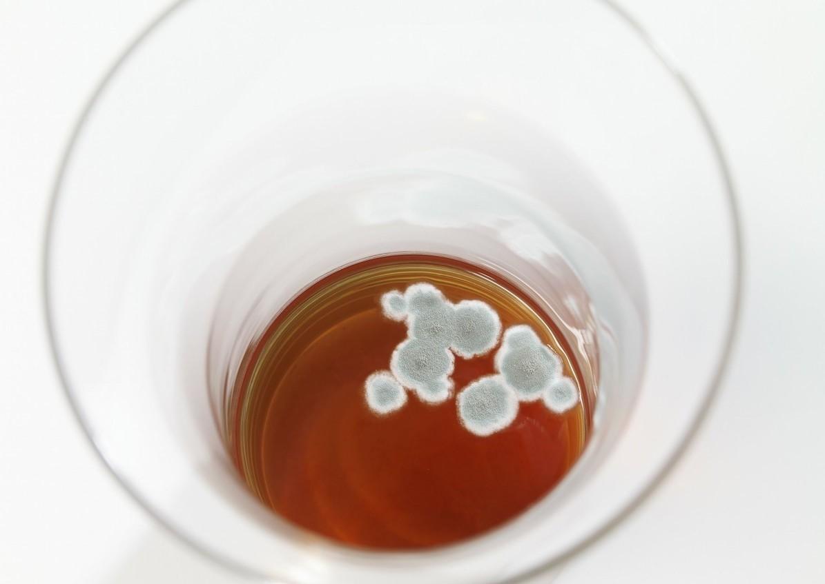 功能红曲含多少种天然他汀,红曲里含天然植物他汀多少