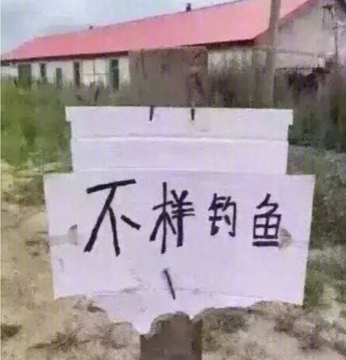 播种一个东北人，就能长出一个家乡