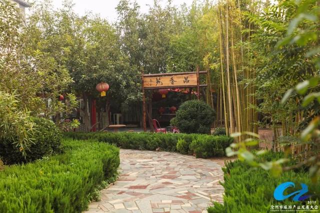 沧州一日游详细攻略,三天旅游攻略沧州