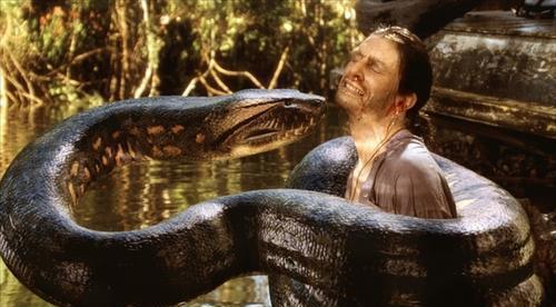 人类禁区地球之肺亚马逊雨林,勇闯地球禁区探索南美亚马逊雨林