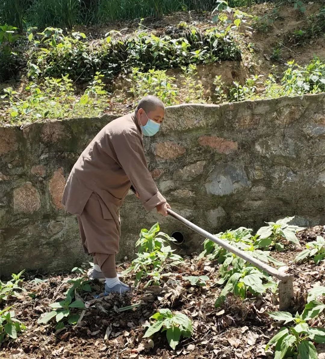 抢抓农时开展农业生产,农民纷纷抢抓春耕生产有利时机