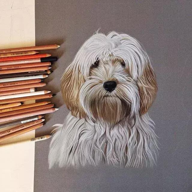 彩铅不会涂色怎么办,彩铅绘画干货