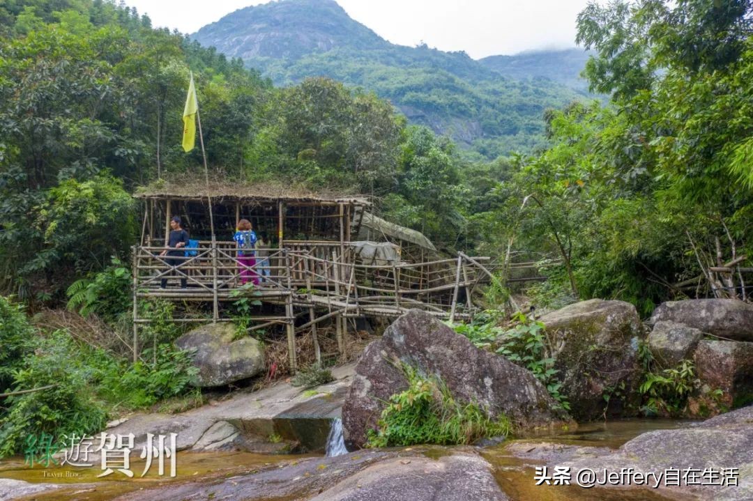 拍贺州｜莲塘镇大山深处的“一号基地”