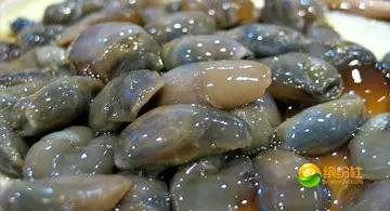 舟山4月份海鲜攻略,舟山海鲜代加工攻略