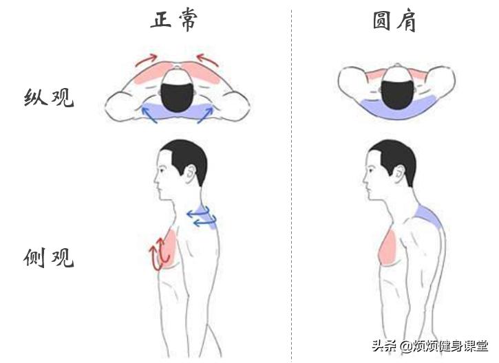 帕梅拉10分钟改善圆肩驼背,改善圆肩驼背的最有效动作