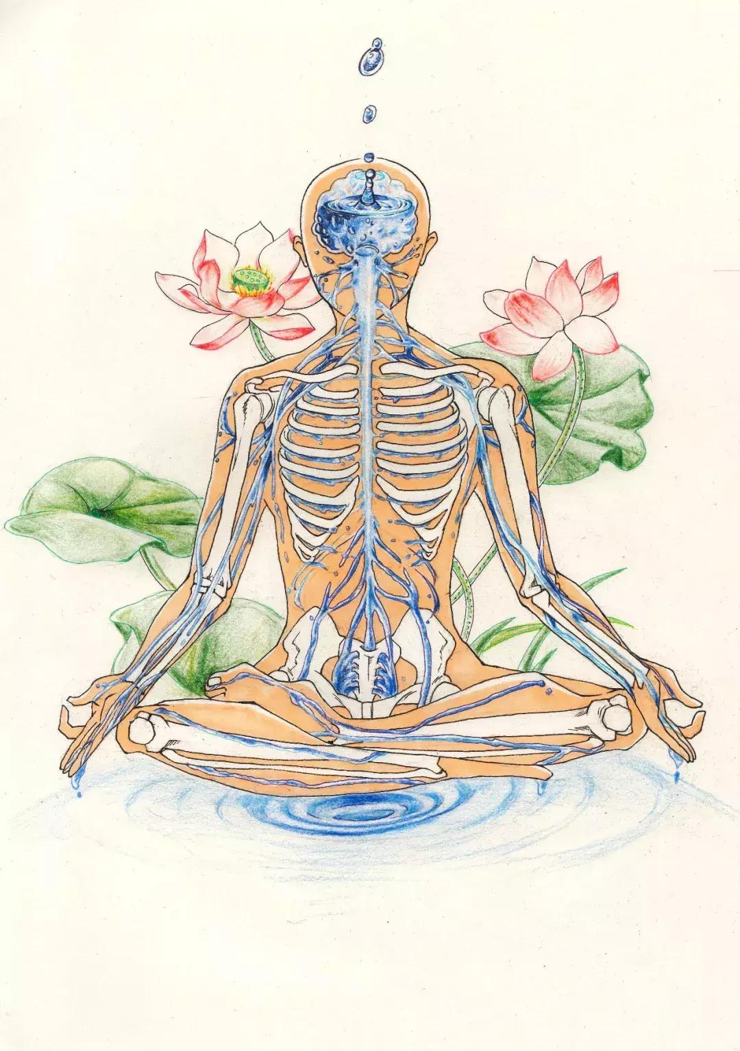 兰大医学生手绘解剖图,南方医科大学学生手绘解剖图