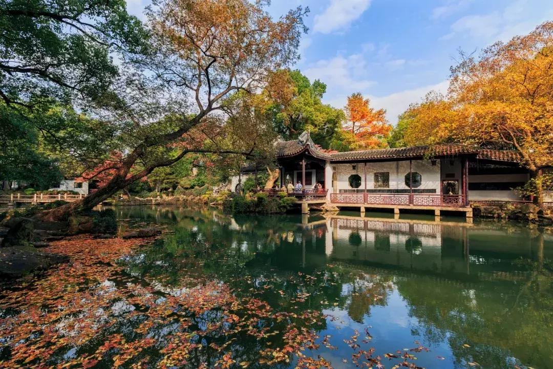 【荐读】100个一看就会一读就错的字，不信你念念