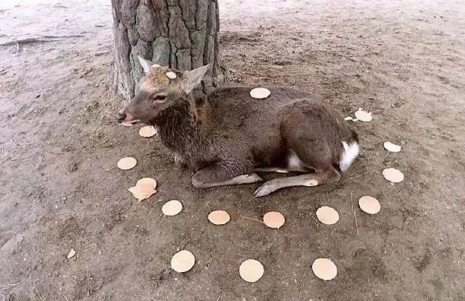 如果没有中国玩家会怎样,如果没有中国世界会是什么样