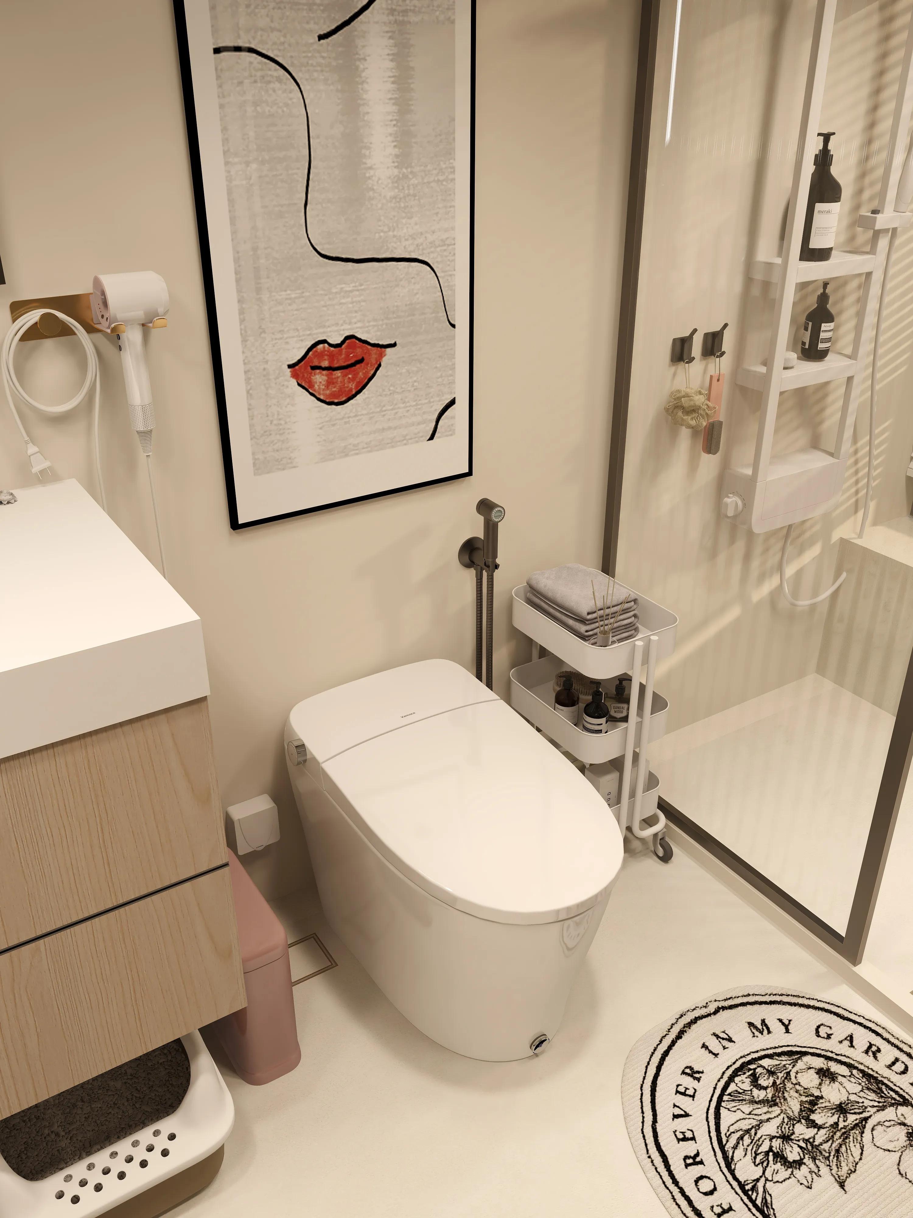 智能马桶排名前十品牌大全,直冲式智能马桶哪个品牌好