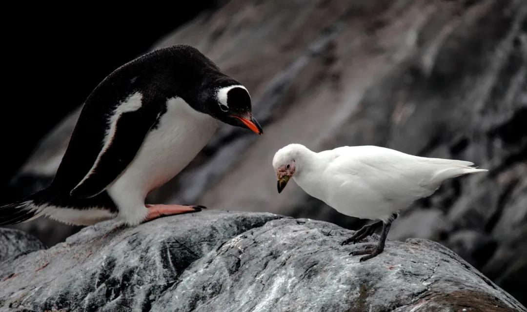 香港第14届全国摄影艺术展,第29届全国摄影艺术展览获奖名单