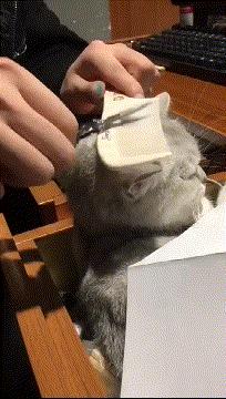 学会这招不愁找不到女朋友,学会这几招不怕找不到女朋友