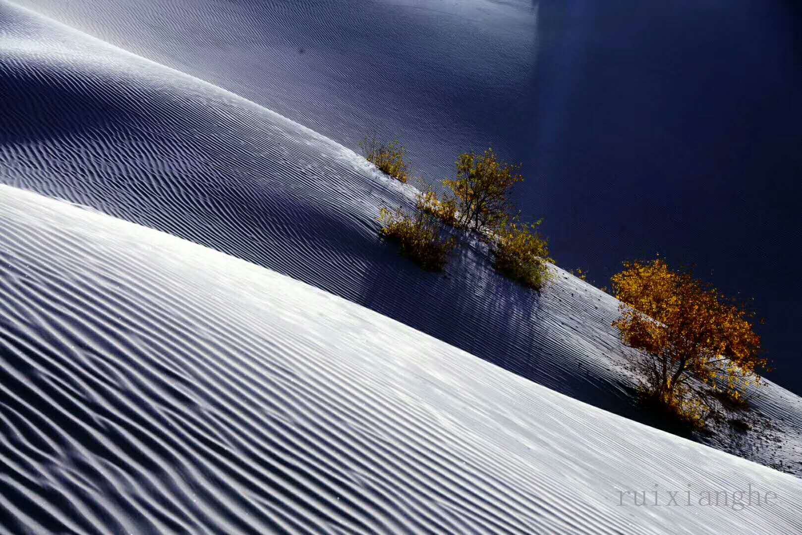 提婆达多的因果,提婆达多和提婆达多