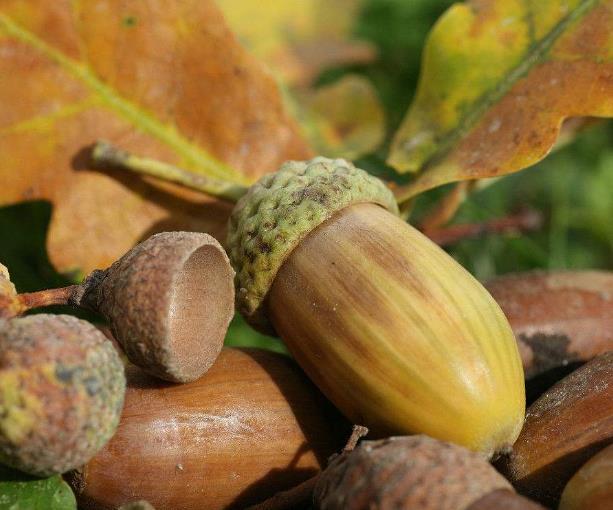 老祖宗教你怎样做人处事,为人处世必须明白的十大忌