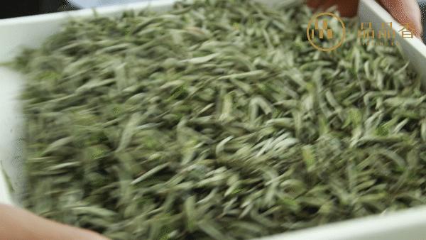 冰糖甜香老白茶,冰糖白茶兰花香