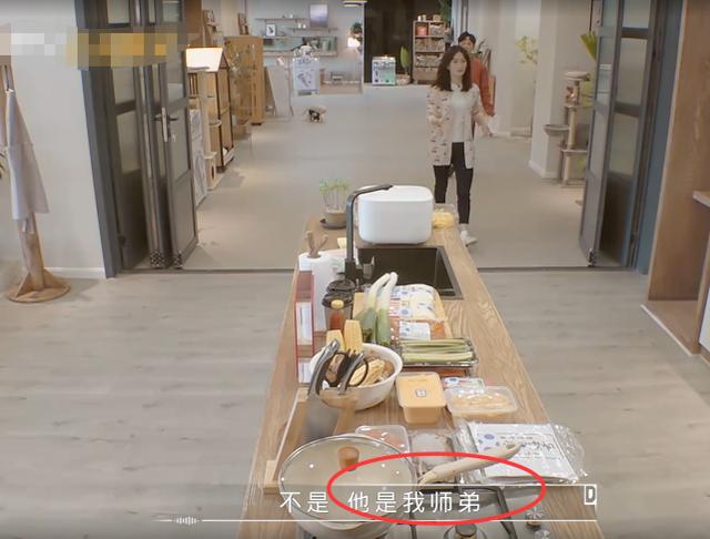 从开始到现在李维嘉,李维嘉以前的样子