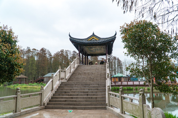 踏春赏花正当时，打卡千垛水上油菜花！玩转兴化景点美食全攻略