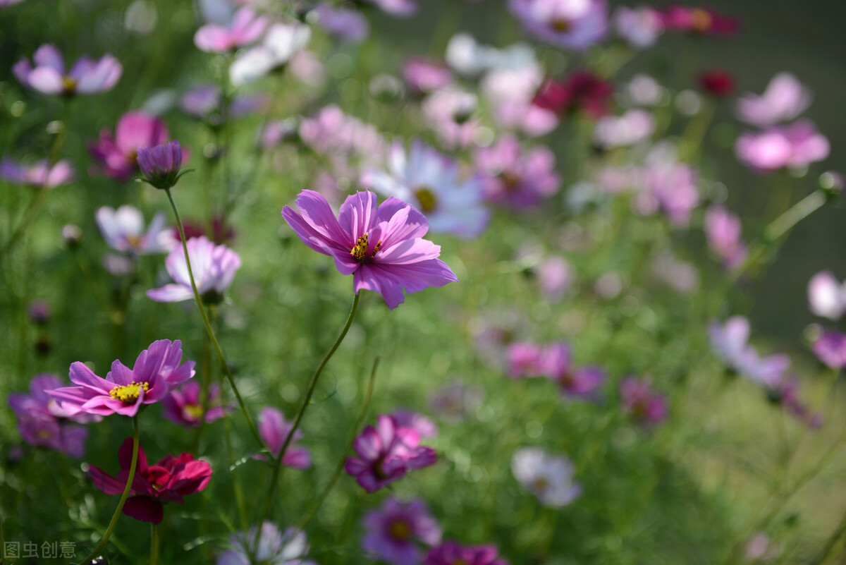 遇到精明婆婆媳妇应该怎么做,不懂人情世故的婆婆怎么相处
