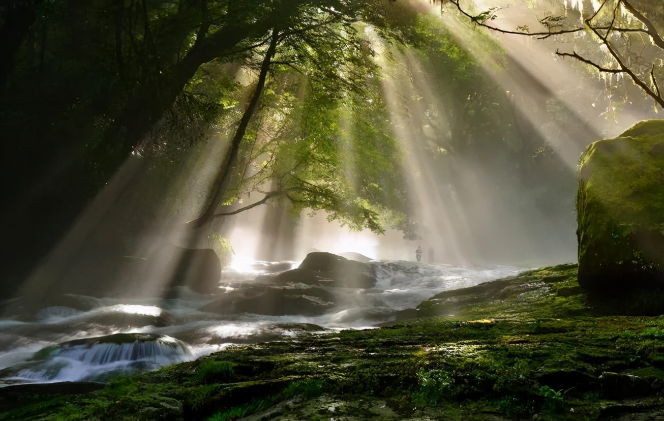 玩转日本东京大阪奈良,日本关东自由行旅行攻略