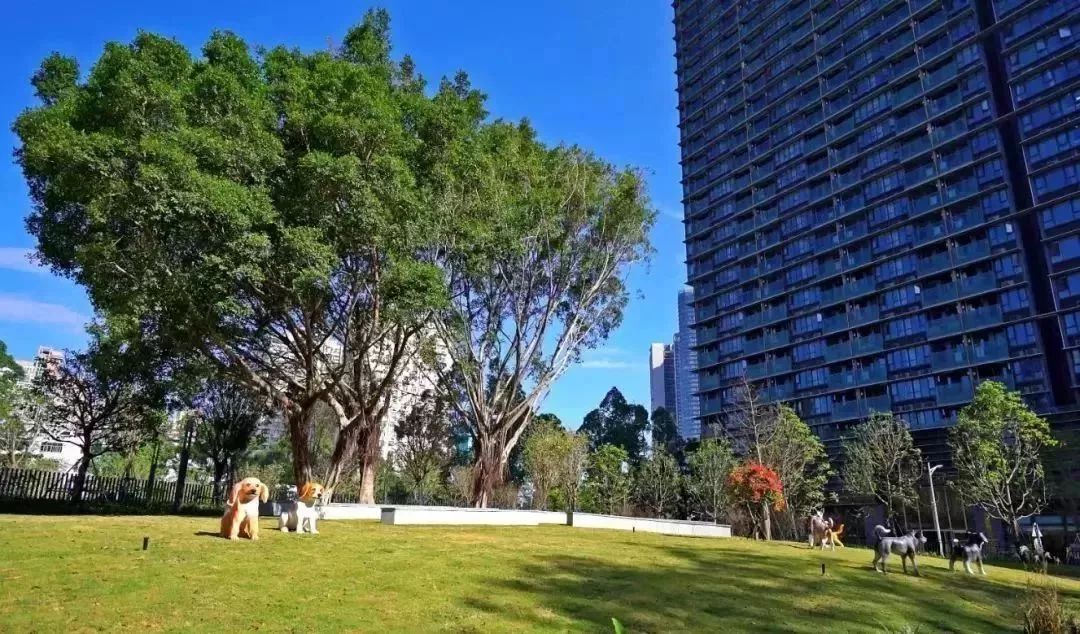 惠州恐龙主题公园,惠州免费公园哪个景点好