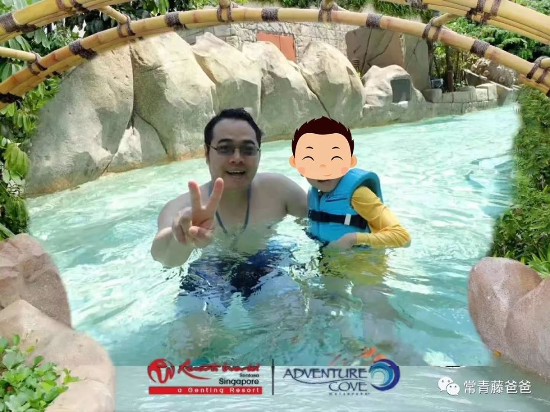 十一新加坡,十一游学新加坡