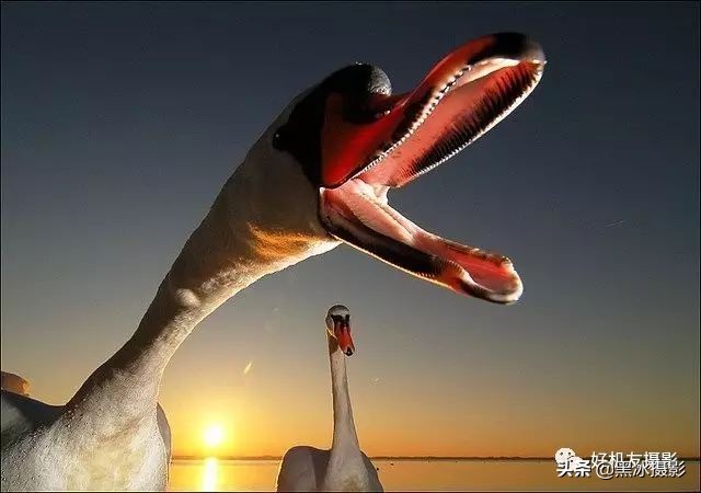 超广角和长焦镜头哪个更实用,广角镜头和长焦镜头优缺点