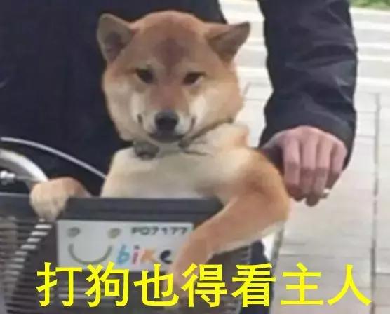 广大学子如何顺利通过毕业答辩？